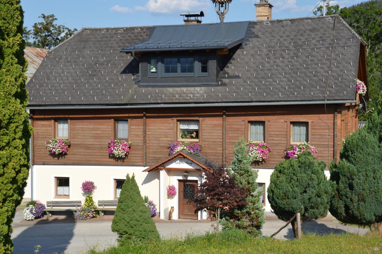 Вилла Aignerhof Хаус-им-Энншталь Экстерьер фото