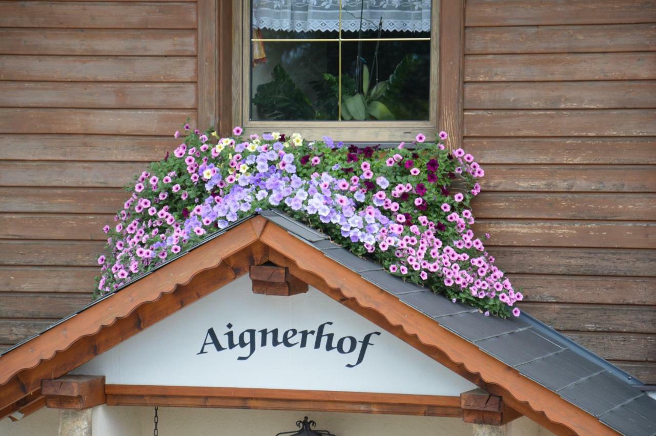 Вилла Aignerhof Хаус-им-Энншталь Экстерьер фото
