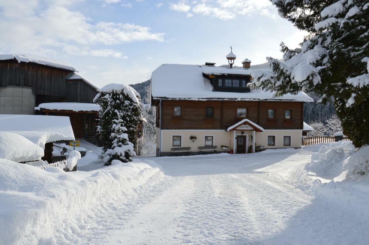 Вилла Aignerhof Хаус-им-Энншталь Экстерьер фото